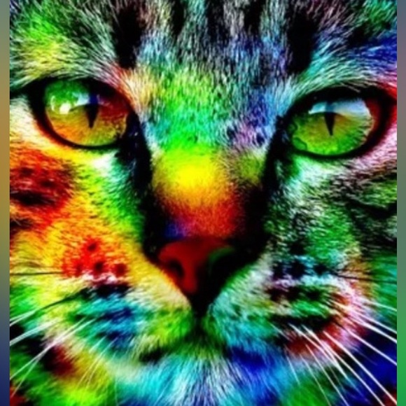 COPY - 🆕 PSYCADELIC KITTY CAT BACKPACK BOOKBAG BAG NWT - Picture 12 of 15